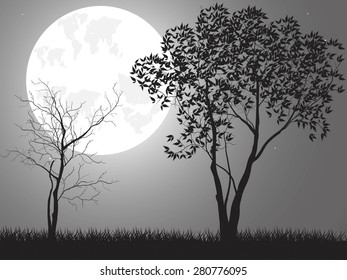 Vector night background with tree branches and the moon