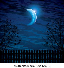 Vector night background with tree branches and the half moon