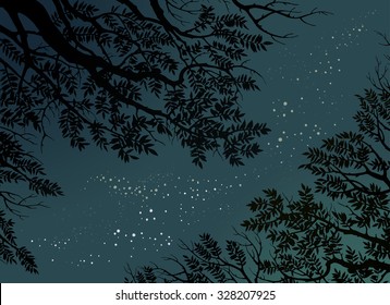 Vector night background with tree branches and stars.