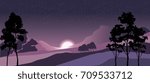 vector night hills landscape. mountains, trees and starry sky