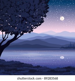 Vector night landscape with mountains, lake and tree on a starry sky background