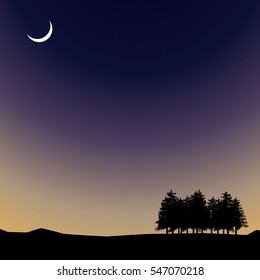 Vector Night time sky, nature landscape with moon and trees