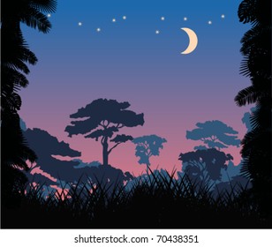 vector night in tropical forest