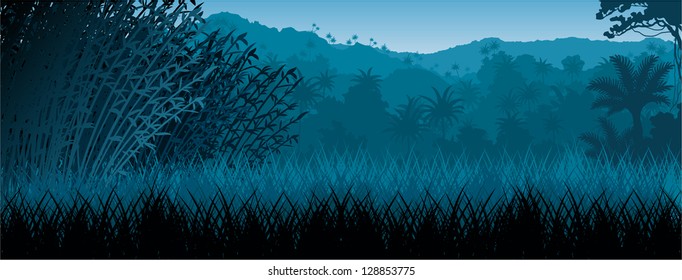 Vector Night in tropical rainforest