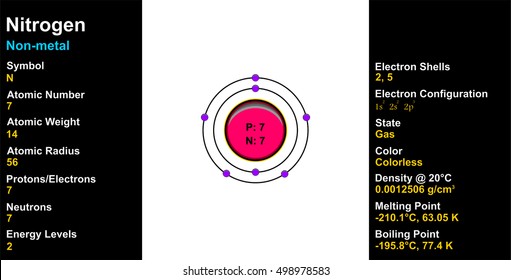 Vector - Nitrogen Atom