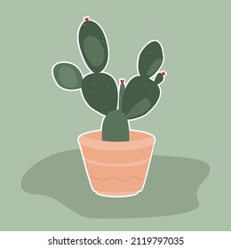 Vector nopal cactus potted. Exotic houseplants. 