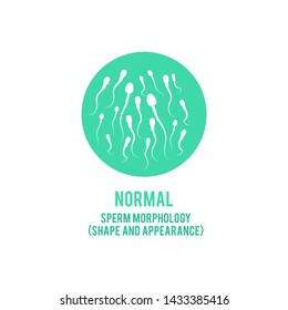Vector normal spermatozoids morphology shape and form concept. Male fertility, healthy semen icon. Reproductive men health, medical fertilization design element.