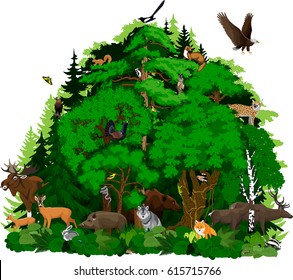 vector north woodland forest with animals