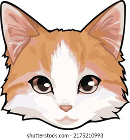 vector of a norwegian forest cat's head in a close-up. from the front with raised ears and long thick fur. wildlife concept.