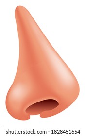 Vector nose in profile in graphic style