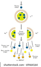 Vector Nuclear fission chain reaction of Uranium Atom Useful for Educational Purposes Scientific Field