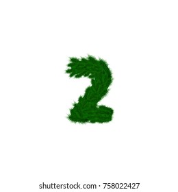 Vector numbers decorated with pine branches. Number- 2. Two
