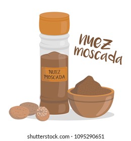 Vector nutmeg illustration isolated in cartoon style. Spanish name. Herbs and Species Series