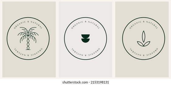 Vector nutrition design linear palm and leaf logos templates in trendy linear minimal style. Celestial and magical abstract.