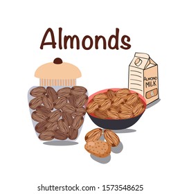 Vector Nutrition nuts food almonds. Healthy diet snack and breakfasts.