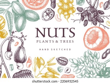 Vector nuts background in color. Healthy food backdrop with branches, plants, and nutshells hand-drawings. Vintage nuts outlines sketched frame. Realistic botanical illustrations for packaging design