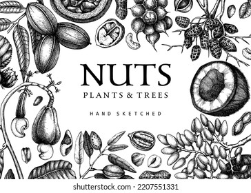 Vektor-Nüsse-Hintergrund im Vintage-Stil. Gesundes Essen mit Pekanen, Kokosnuss, Macadamia, Mandeln, Nusszeichnungen. Realistische botanische Illustrationen für Verpackungsdesign. Rahmen für Nacktskizzen