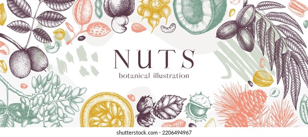 Vector nuts banner in collage style. Vintage nuts sketched border. Healthy food background with hand-drawn branches, plants, nutshells, abstract shapes. Realistic botanical illustration for packaging