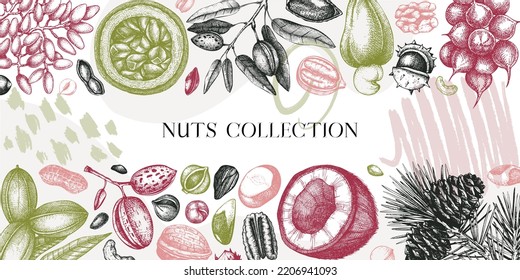 Vektor-Nüsse-Banner im Collage-Stil. Gesundes Essen Hintergrund mit Macadamia, Haselnuss, Walnuss, Cashew, Kiefernnuss, Mandeln, abstrakten Formen. Trendy botanische Illustrationen. Vintage Nüsse skizzierte Grenze. 