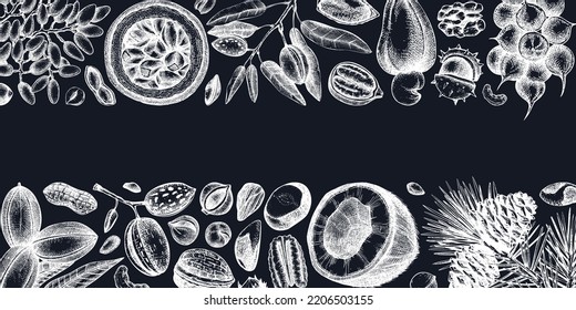 Vector nuts banner on chalkboard. Vintage nuts background in sketched style. Healthy food ingredients template with botanical illustrations. Realistic branches, plants, fruits, nutshells sketches.