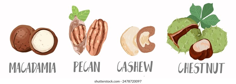Vector nuts icons set in hand drawn style. Collection farm product for restaurant menu, market label.