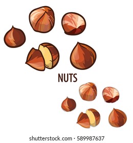 Vector nuts. Isolated on white background. Can be used for some print or emblems. 