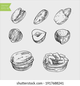 Vector nuts set in hand drawn style. Collection of nuts almond and peanut, walnut and cashew nuts illustration