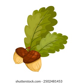 Vektor Eiche, grüne Blätter und Eicheln einzeln auf weißem Hintergrund. Eichenblatt und Eichel für September Dekor. Blumenelemente im flachen Stil für Herbstgestaltung.