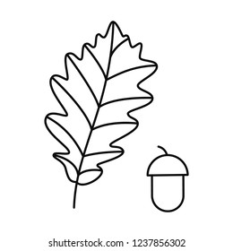 Vector Oak Leaf With Acorn. Isolated On White Background.