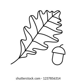 Vector Oak Leaf With Acorn. Isolated On White Background.