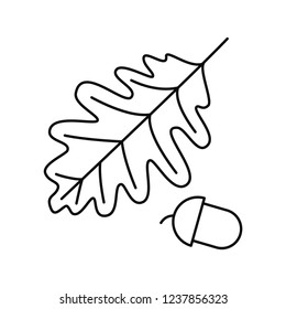 Vector Oak Leaf With Acorn. Isolated On White Background.