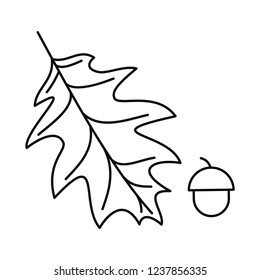 Vector Oak Leaf With Acorn. Isolated On White Background.