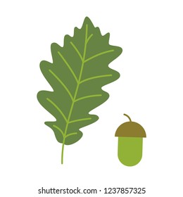Vector Oak Leaf With Acorn. Isolated On White Background.