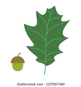 Vector Oak Leaf With Acorn. Isolated On White Background.