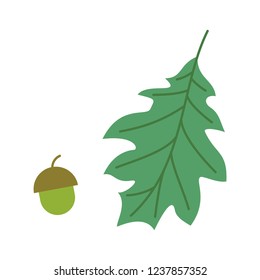Vector Oak Leaf With Acorn. Isolated On White Background.