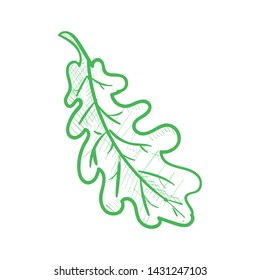 Vector Oak Leaf, Hand Drawn Illustration. Cross Hatch Pencil Sketch Style.