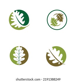 vector oak leaf logo design