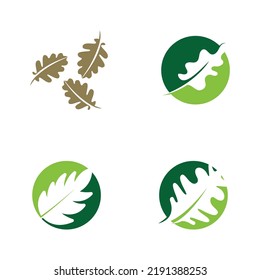 diseño de logotipo de hoja de roble vectorial