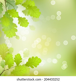 Vector Oak Leaves on the Branches in front of a Blurred Background