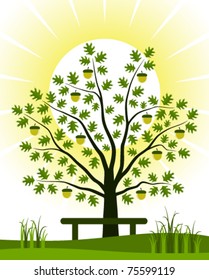 vector oak tree and bench