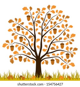 vector oak tree in grass isolated on white background