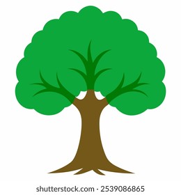 Vector oak tree. Vector illustration of old green oak tree
