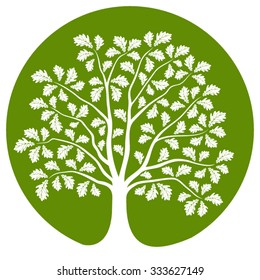 vector oak tree isolated on green round