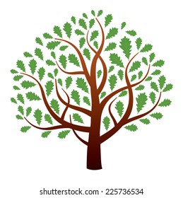 vector oak tree and leafs