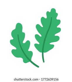 Vector oak tree leaves icon. Back to school educational clipart. Cute flat style illustration. Autumn concept 
