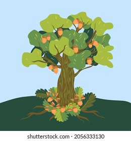 Vector - oak tree pattern with leaves, floral watercolor illustration.