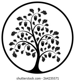 vector oak tree in round isolated on white background 