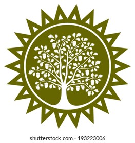 vector oak tree in sun isolated on white background