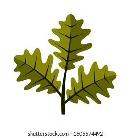 vector oak twig isolated on white background