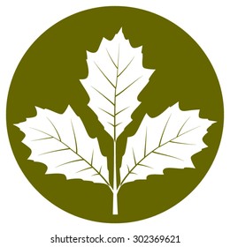 vector oak twig isolated on green round